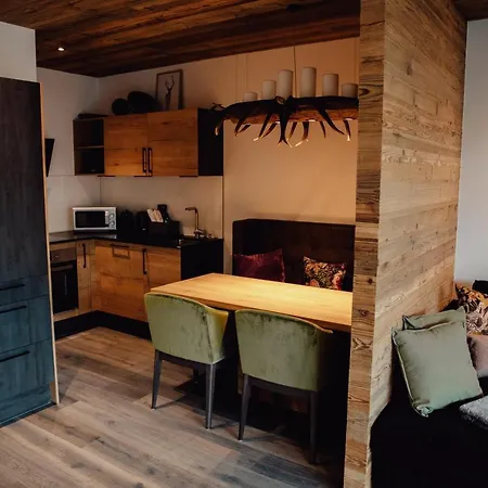 公寓 Zillertal Juwel *