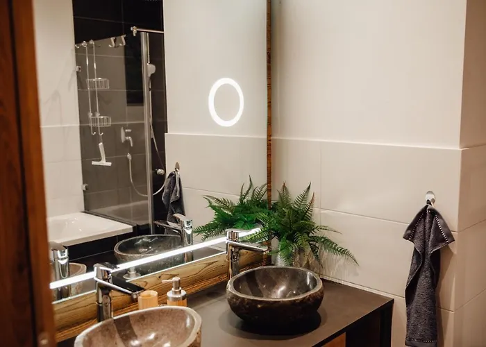 公寓 Zillertal Juwel *